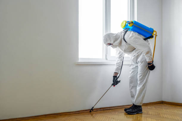 Reliable Shillington, PA Pest Control Solutions